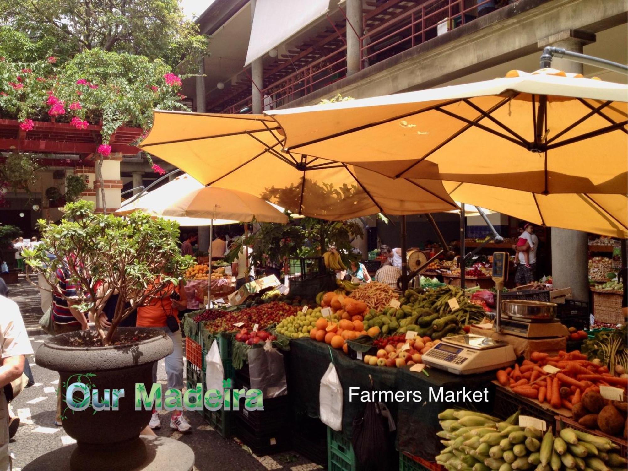 Apartamento Ourmadeira - Vintage Garden *