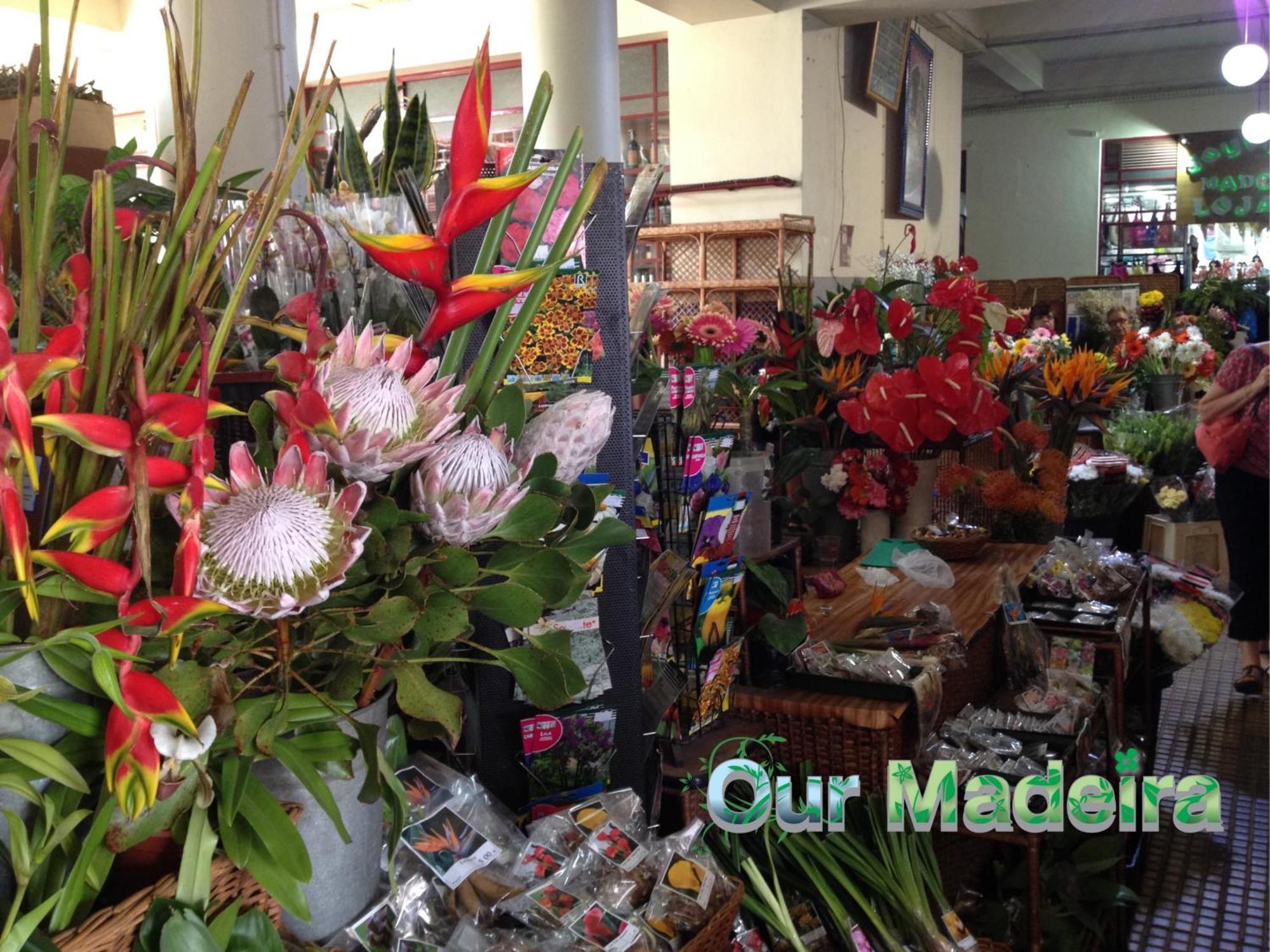 Ourmadeira - Vintage Garden *