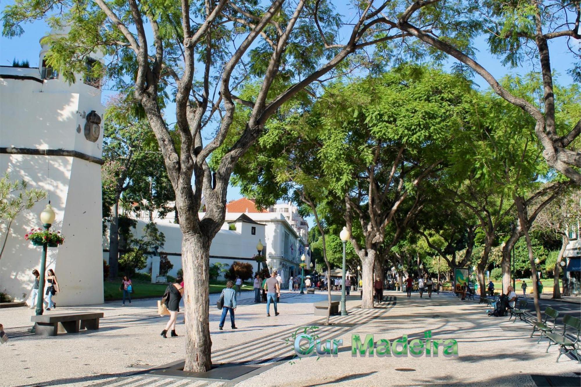 Ourmadeira - Vintage Garden *